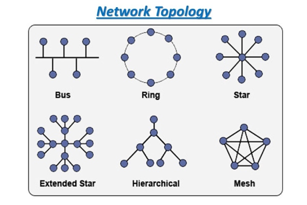 منظور از توپولوژی شبکه چیست